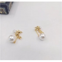 Buy Inexpensive Dior Earrings CE6841