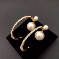 Good Quality Dior Earrings CE6842