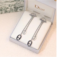 Well Crafted Dior Earrings CE6845