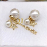 Low Cost Dior Earrings CE6859