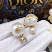 Famous Brand Dior Earrings CE6860