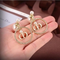 Good Product Dior Earrings CE6881