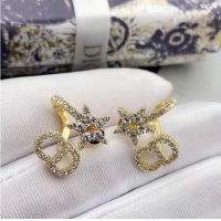 Fashion Show Collections Dior Earrings CE6884