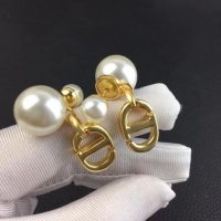 Top Grade Inexpensive Dior Earrings CE6885