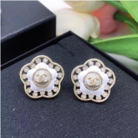 Good Product Chanel Earrings CE6897