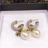 Stylish Promotional Dior Earrings CE6928