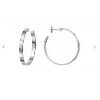 Top Quality Cheap Cartier Earrings CE6945 Silver