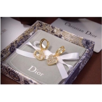 Spot Bulk Classic Dior Earrings CE6965