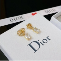 Top Grade Dior Earrings CE7005