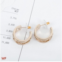 Buy Sumptuous Chanel Earrings CE7039