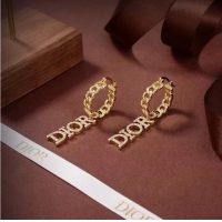 Modern Classic Dior Earrings CE7102