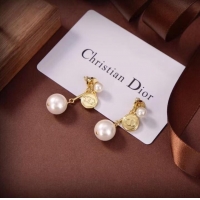 Top Quality Dior Earrings CE7104