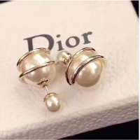 Spot Top Quality Dior Earrings CE7110