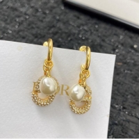 Modern Classic Inexpensive Dior Earrings CE7155