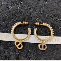 Unique Grade Dior Earrings CE7159