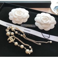 Famous Brand Chanel Necklace CE7176