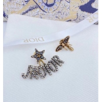 Good Product Dior Earrings CE7217