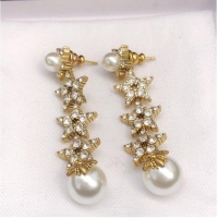 Most Popular Dior Earrings CE7285