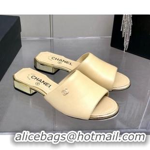 Top Sale Chanel Leather Slide Sandals 021825 Beige