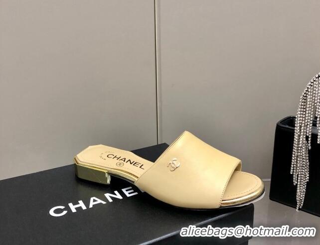 Top Sale Chanel Leather Slide Sandals 021825 Beige