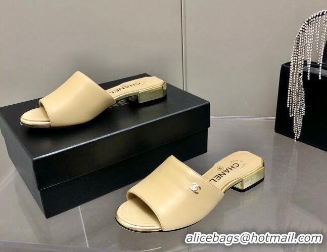 Top Sale Chanel Leather Slide Sandals 021825 Beige