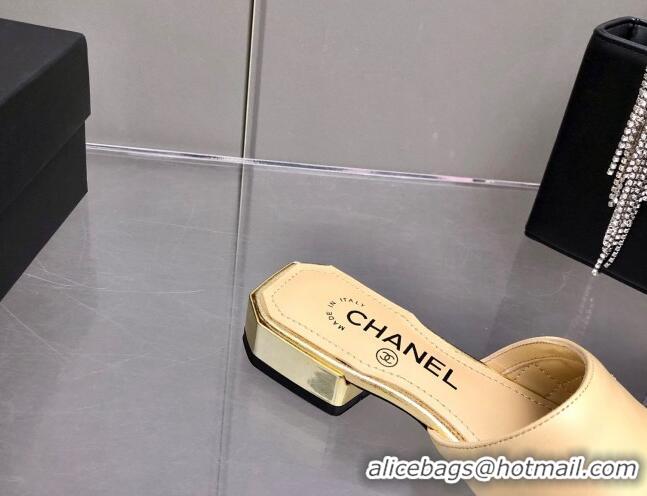 Top Sale Chanel Leather Slide Sandals 021825 Beige