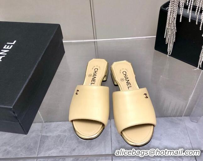 Top Sale Chanel Leather Slide Sandals 021825 Beige