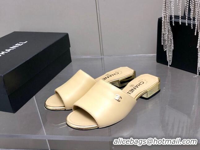 Top Sale Chanel Leather Slide Sandals 021825 Beige