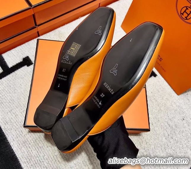 Hot Style Hermes Esmee Mule with Iconic Roulis Buckle 0209051 Brown