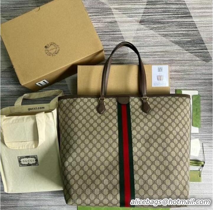 Famous Brand Gucci Backpack with Interlocking G 674147 Brown&green