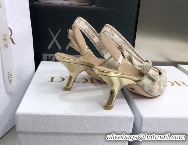 Top Grade Dior J'Adior Slingback Pumps 6.5cm in Quake Oblique Embroidery Beige 021586