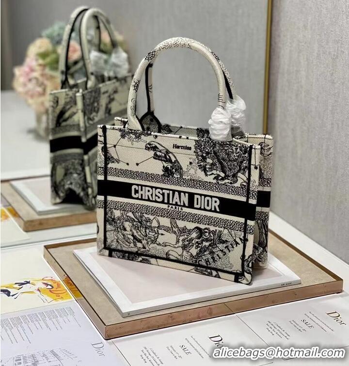 Good Product SMALL DIOR BOOK TOTE Embroidery C1331-4