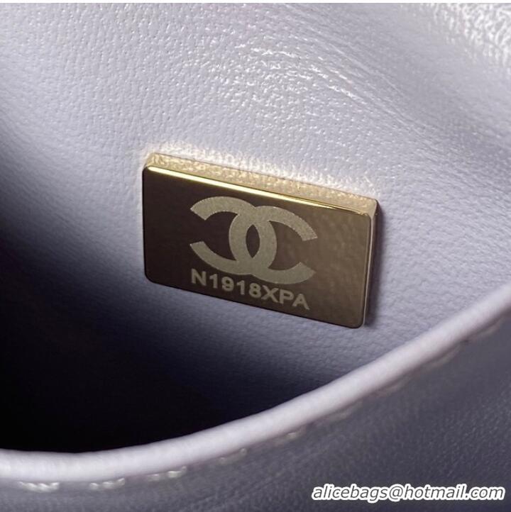 Top Quality Chanel flap bag with top handle Grained Calfskin gold-Tone Metal A92991 light purple