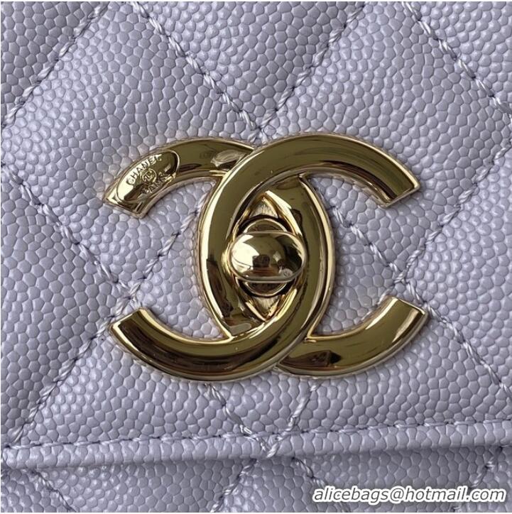 Top Quality Chanel flap bag with top handle Grained Calfskin gold-Tone Metal A92991 light purple