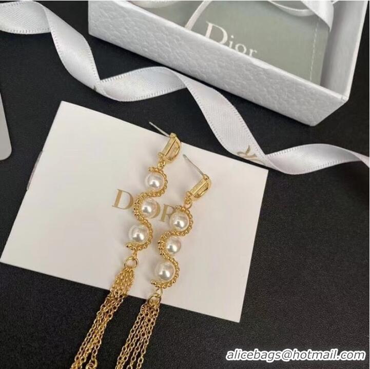 Buy Inexpensive Dior Earrings CE7657