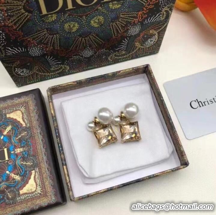 Unique Inexpensive Dior Earrings CE7659