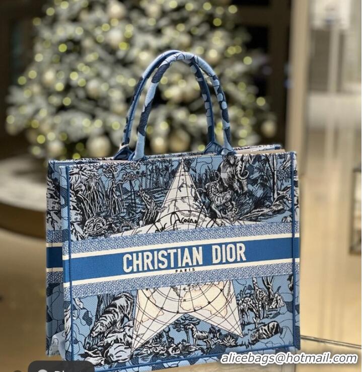 High Quality DIOR BOOK TOTE Embroidery C1287-23 Blue