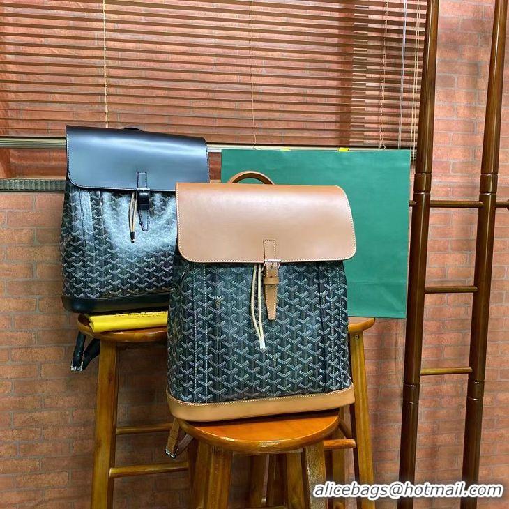 Newly Launched Goyard Alpin Original Backpack G8710 Black And Tan