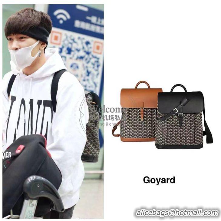 Newly Launched Goyard Alpin Original Backpack G8710 Black And Tan