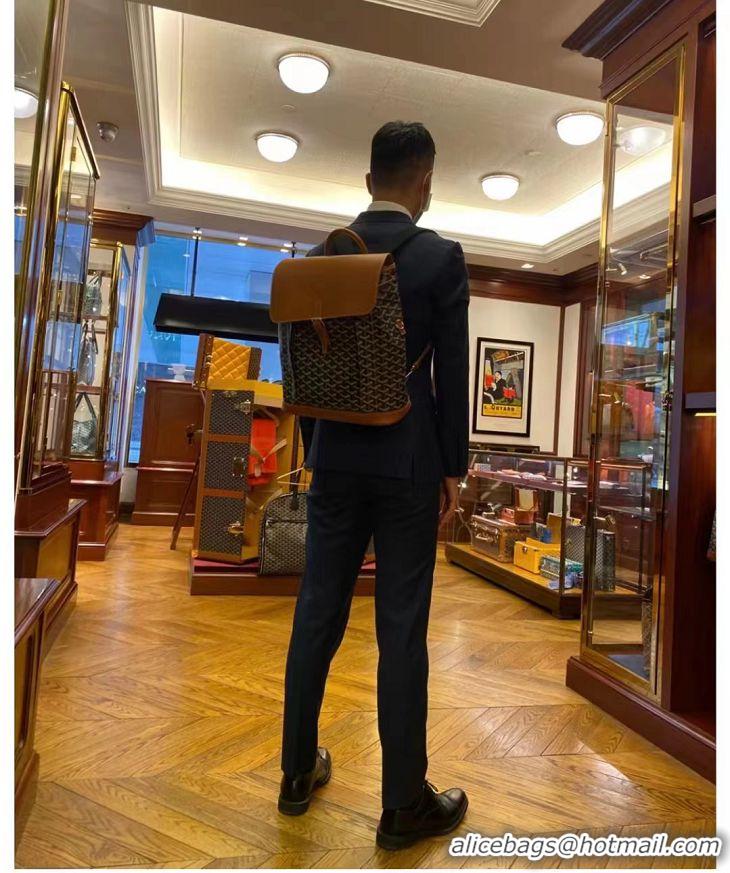 Newly Launched Goyard Alpin Original Backpack G8710 Black And Tan