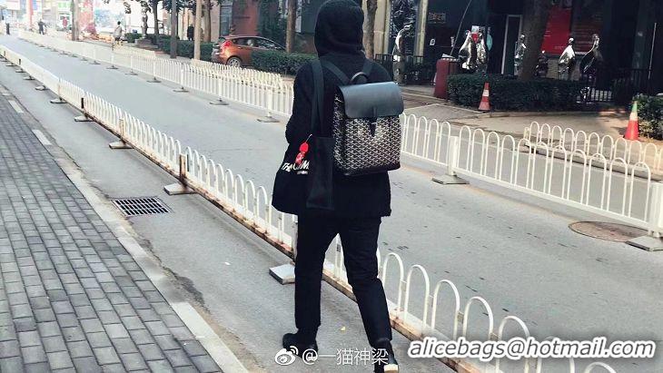 Market Sells Goyard Alpin Backpack G8710 Black