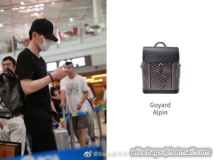 Market Sells Goyard Alpin Backpack G8710 Black