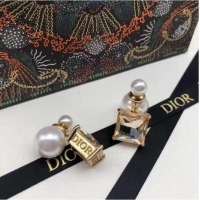 Unique Inexpensive Dior Earrings CE7659