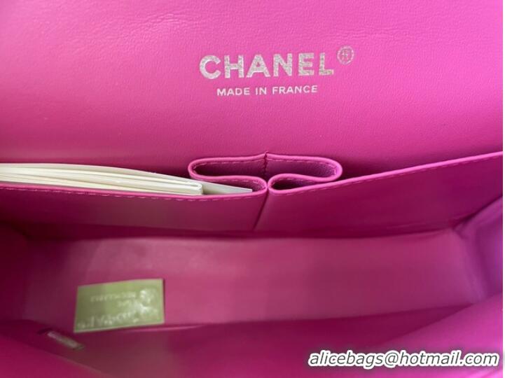 Luxury Discount Chanel classic handbag Lambskin&silver Metal 01112 plum