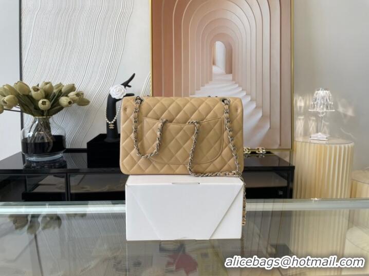 Reasonable Price Chanel classic handbag Lambskin&silver Metal 01112 apricot