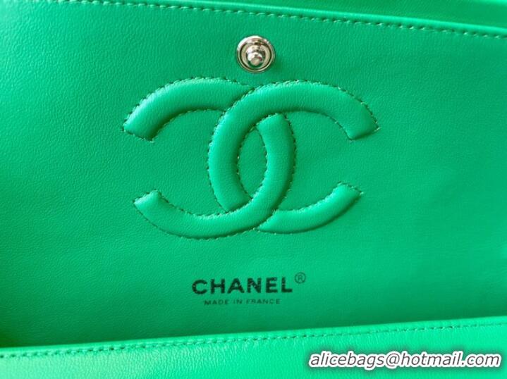 Top Quality Chanel classic handbag Lambskin&silver Metal 01112 green