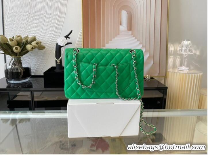 Top Quality Chanel classic handbag Lambskin&silver Metal 01112 green