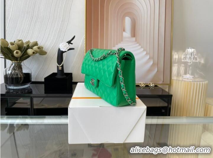 Top Quality Chanel classic handbag Lambskin&silver Metal 01112 green