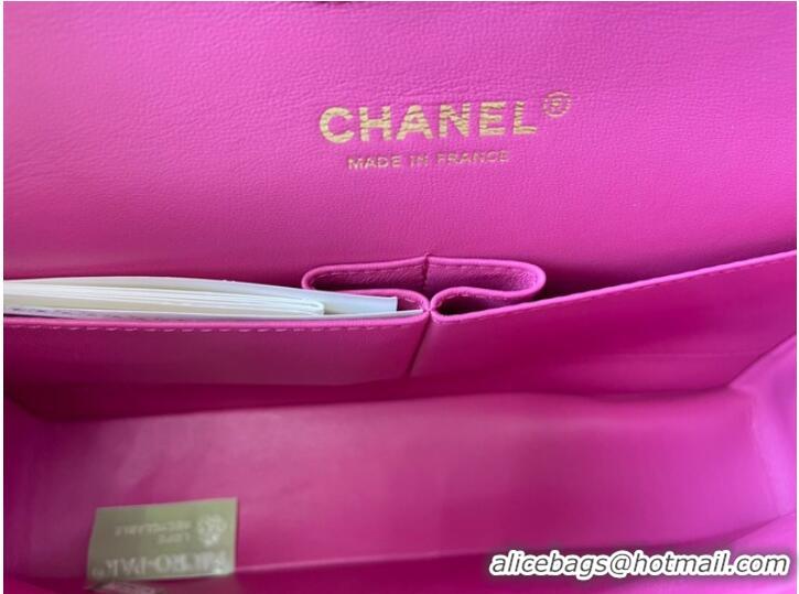 Famous Brand Chanel classic handbag Lambskin&gold Metal 01112 plum