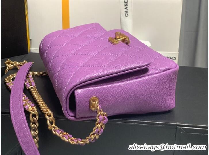 Hot Sell Cheap Chanel Grained Calfskin Shoulder Bag AS3103 purple